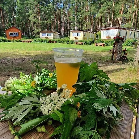 Chill&grill * Даугавпилс